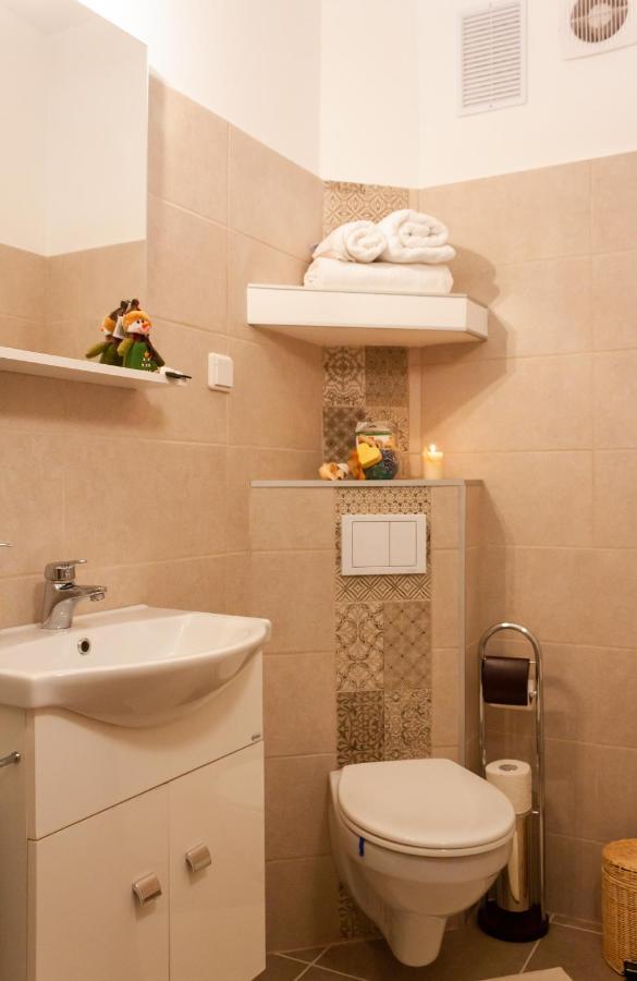 Cozy Family Apartments Μπρασόβ Εξωτερικό φωτογραφία